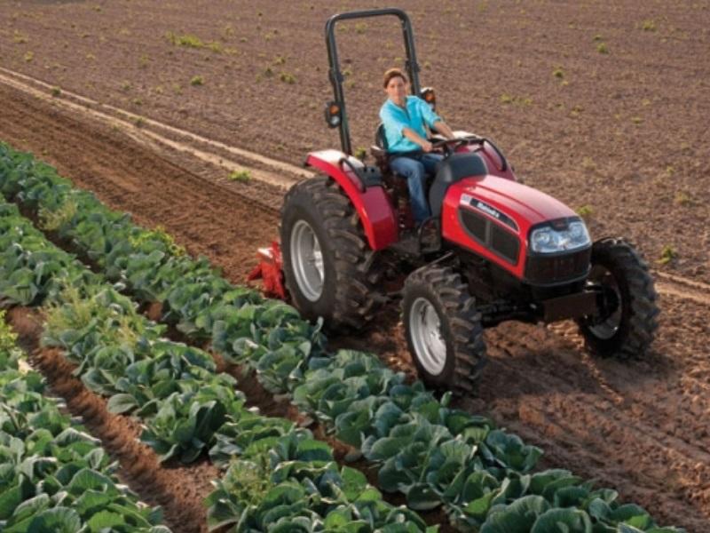 A farmer on a Mahindra 3550 4WD HST tractor by a row of crops.